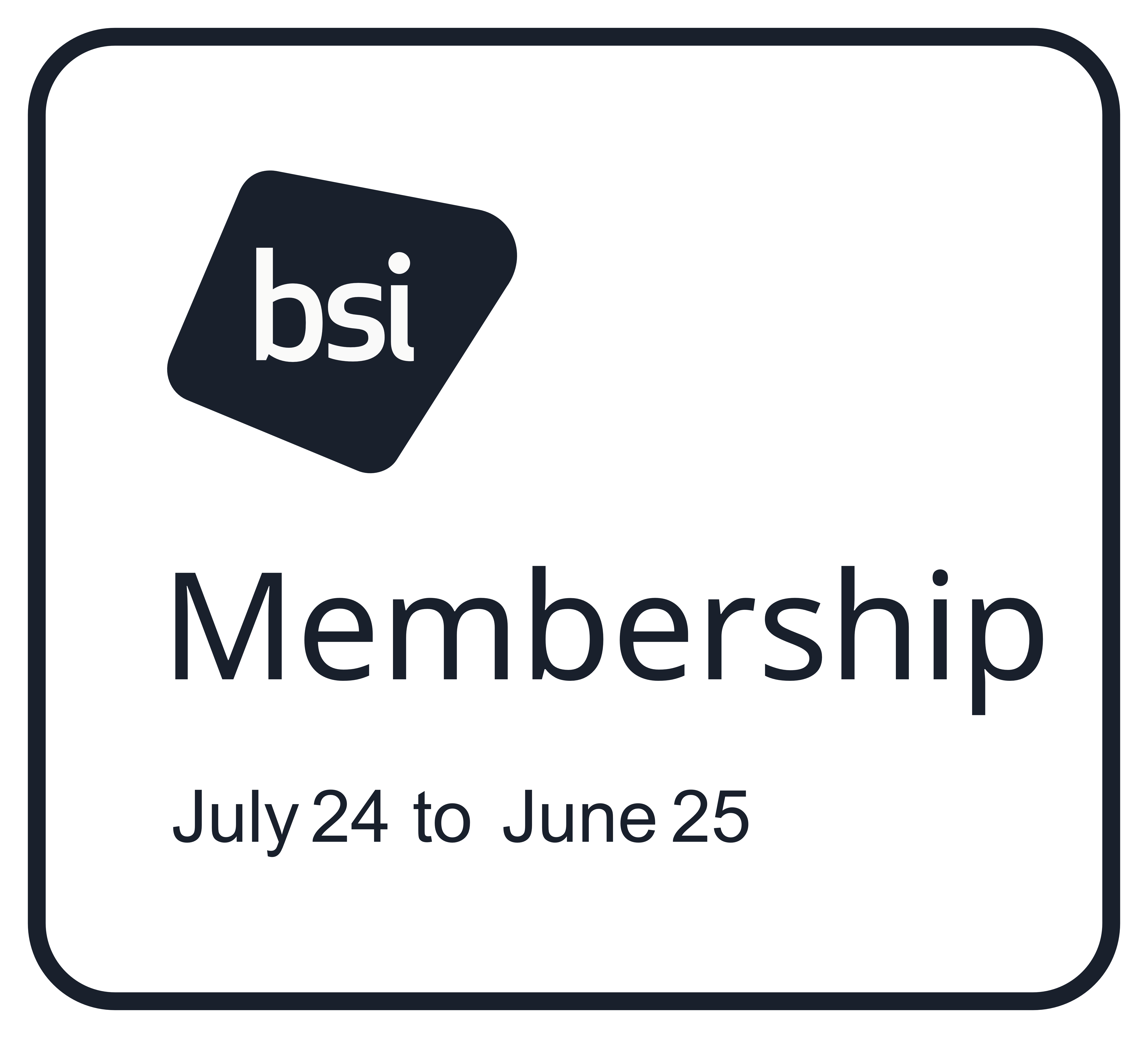 BSI Logo